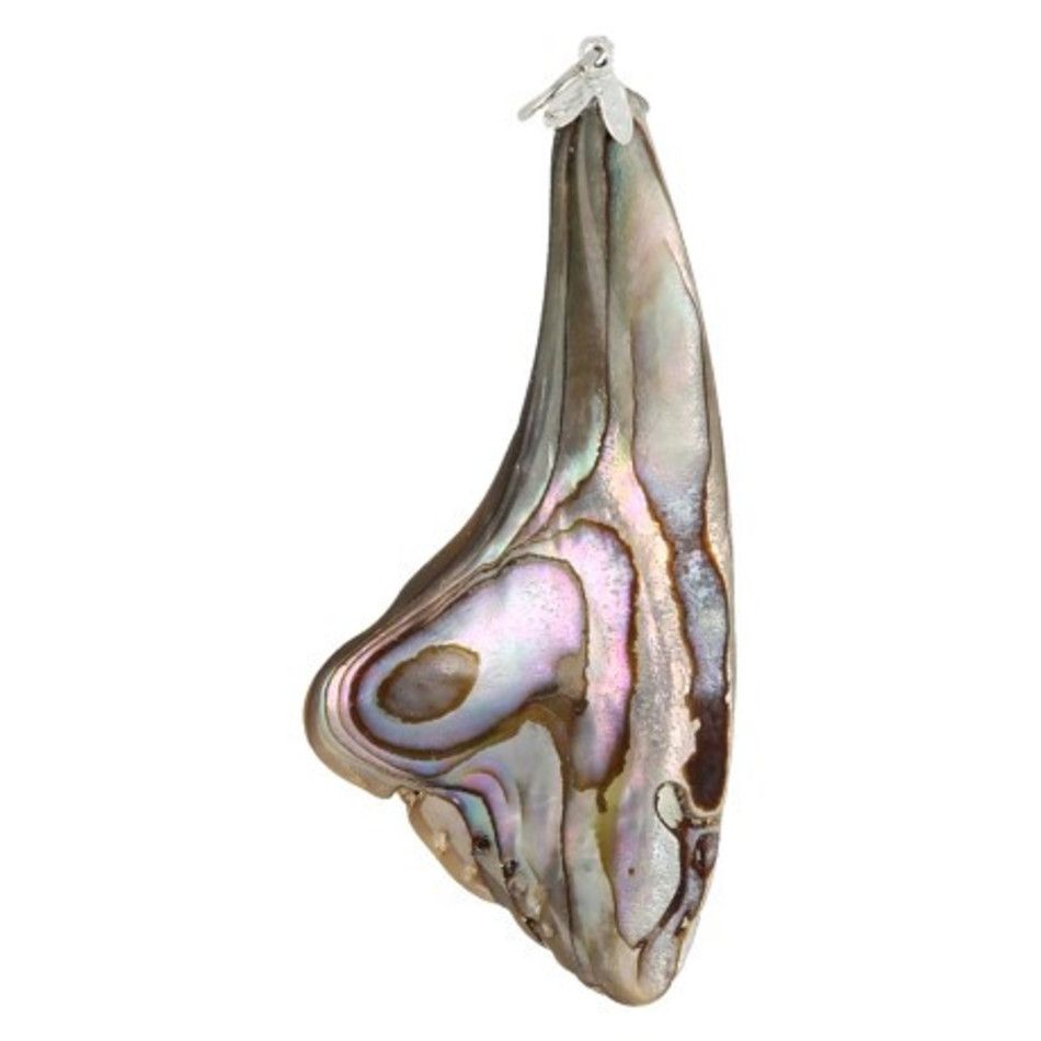 Abalone schelp edelsteen hanger