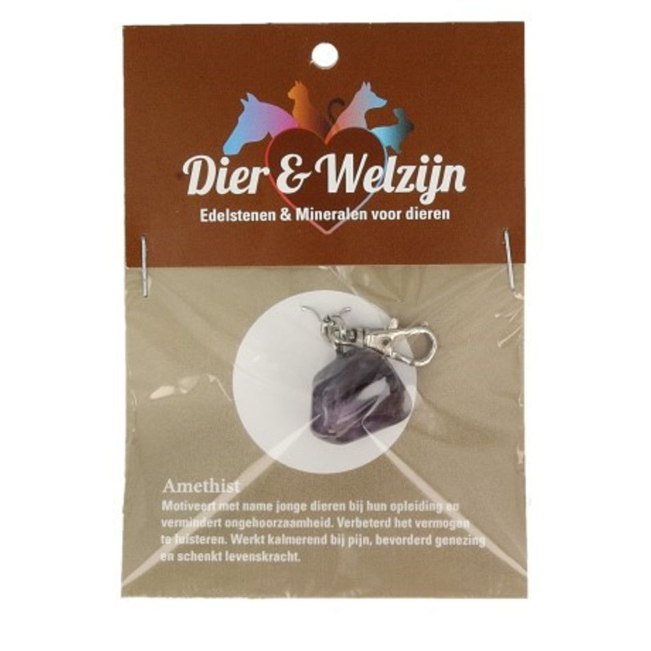 Amethist halsband hanger Dier & Welzijn