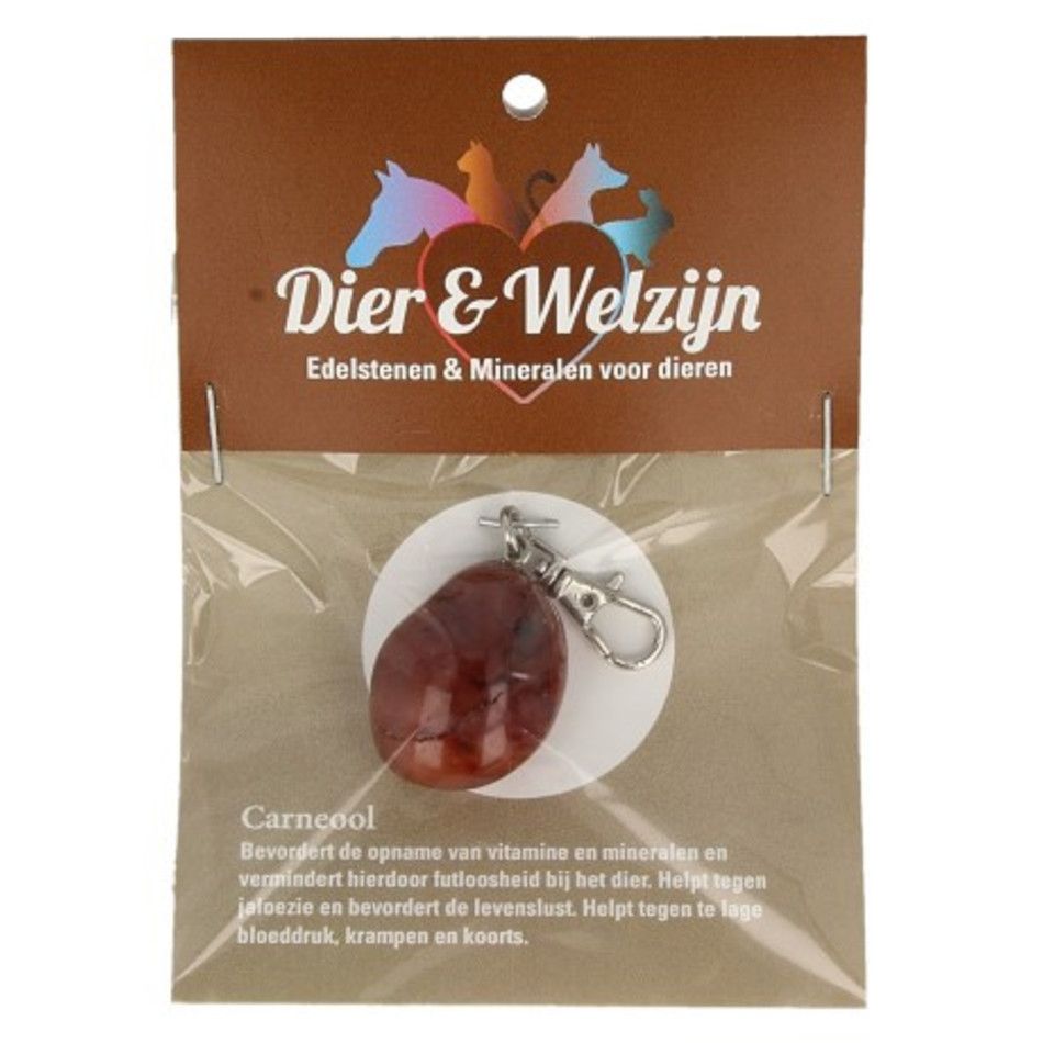 Carneool halsband hanger Dier & Welzijn