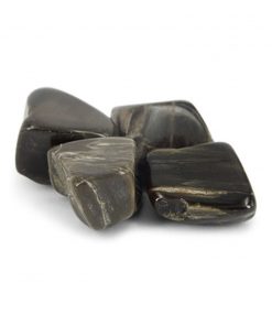 Fossiele steen trommelstenen (mt2-3)