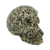 Jaspis dalmatier schedel 70 mm