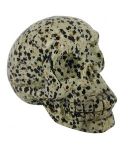 Jaspis dalmatier schedel 70 mm