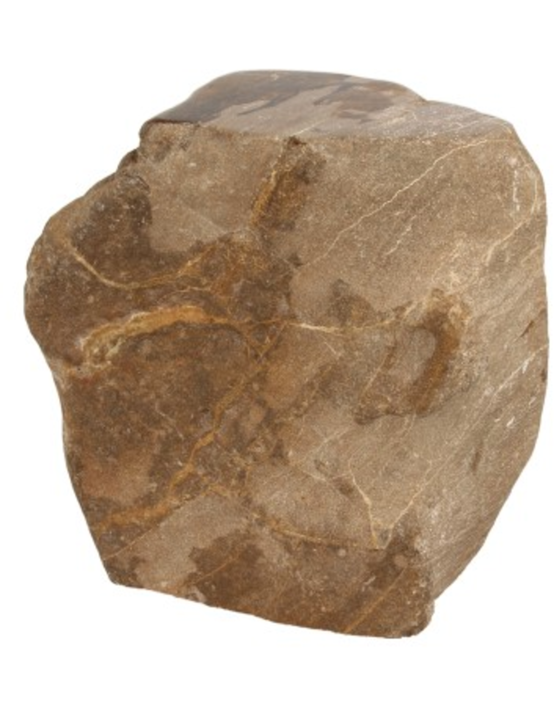 Fossiel hout Java half gepolijst nr.5