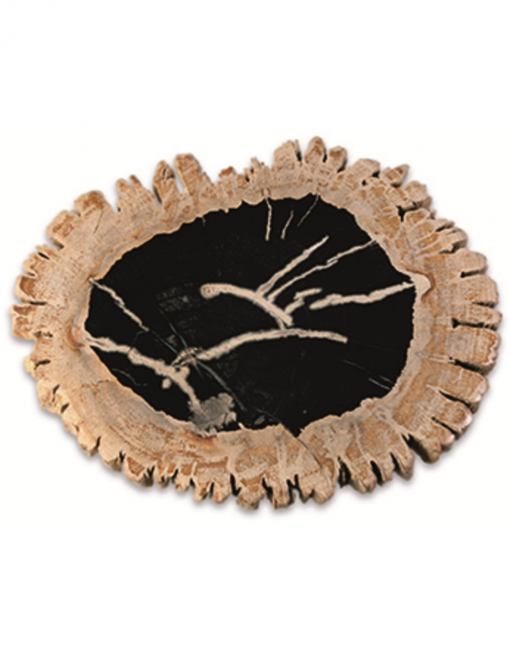Fossiel houten schijven, p/kg
