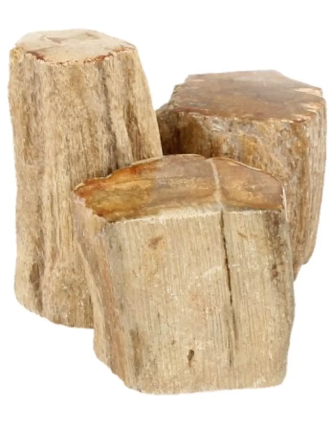 Versteend houten stammetjes half/top gepolijst 1 kg.