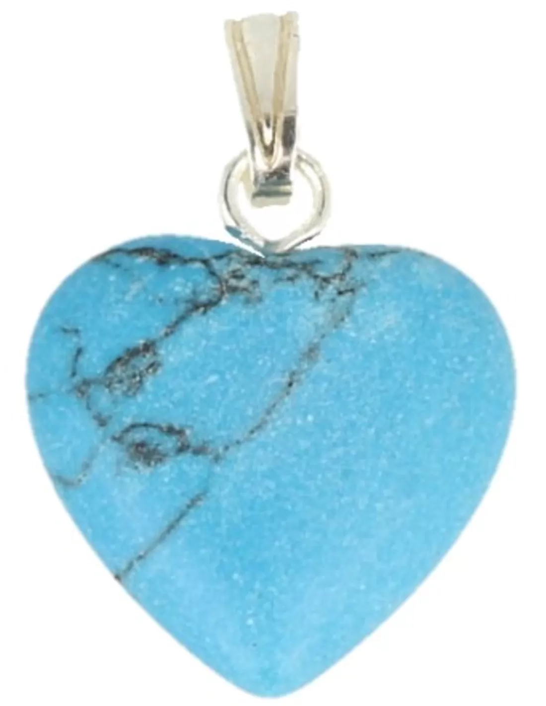Howliet blauw hart hanger 14 mm (gekleurd)